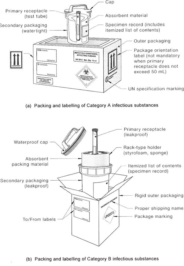 FIGURE 3 EXAMPLES OF TRIPLE PACKAGING SYSTEMS